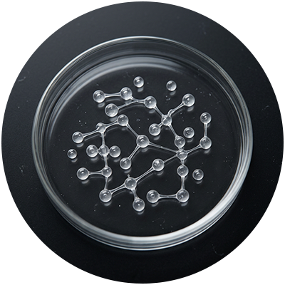 Syringa Vulgaris Extract
