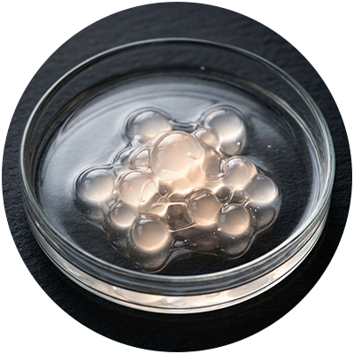 Lipophilic vitamin c
